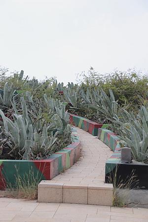 地上部分も歩けます