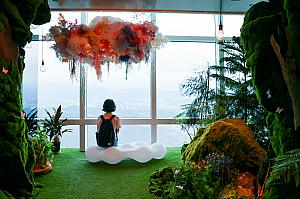 景色を楽しむだけじゃないお楽しみが待っている！