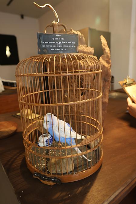 お店は予約客を優先しているので、飛び込みの場合は、入店できない恐れもありますので、ご注意ください。