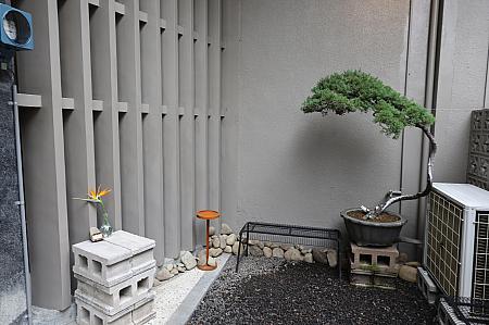 門をくぐって庭に出ると手入れが行き届いた盆栽、一輪の花などがあります。思わず一句読みたくなるような佇まい！