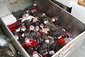 【台湾の市場】南台湾・嘉義にある伝統市場「東市場(嘉義市東公有零售市場)」へ行ってみた！ 伝統市場 台湾の市場 東市場 嘉義市東公有零售市場 台湾グルメ 台湾旅行 台湾観光 嘉義グルメ 嘉義旅行 嘉義観光 台湾土産 日本統治時代の建物 台湾国定古跡嘉義市国定古跡