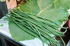 【台湾の市場】南台湾・嘉義にある伝統市場「東市場(嘉義市東公有零售市場)」へ行ってみた！ 伝統市場 台湾の市場 東市場 嘉義市東公有零售市場 台湾グルメ 台湾旅行 台湾観光 嘉義グルメ 嘉義旅行 嘉義観光 台湾土産 日本統治時代の建物 台湾国定古跡嘉義市国定古跡