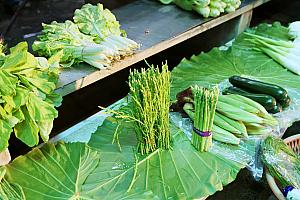 野菜やお肉、お魚……どれもこれも新鮮！