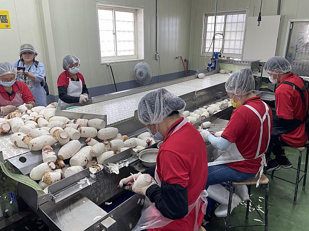 手作業で一つひとつさらに丁寧に残りの皮を削っていきます