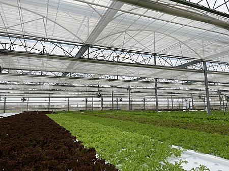 気候や市場変動の農家への対応を支援するため、農業部農業食品署が「スマート防災施設型農業プロジェクト」を推進。このプロジェクトは、農家に近代的な施設や技術への投資を促し、農産物の供給と品質の安定化を図っています