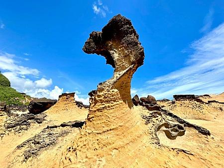 【台湾旅行ツアー】1泊2日で台湾の北海岸を満喫できる大満足プラン！ 北海岸 金山 金山老街 淡水 野柳地質公園 和平島地質公園 朱銘美術館 台北旅人國際青年旅館 旅行邦尼青年旅館サイクリング