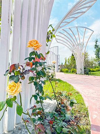 【台湾旅行ツアー】蘭陽博物館や赫蒂法莊園(Healtdevaパーク)など宜蘭の観光名所を巡る旅！