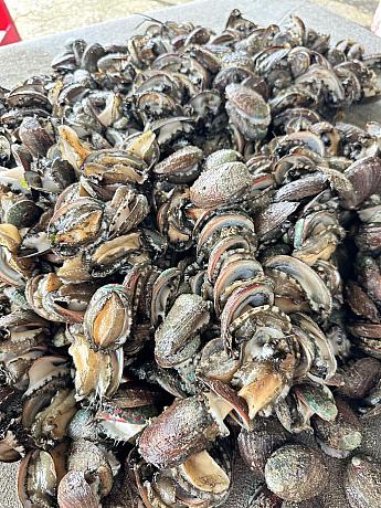 【台湾旅行ツアー】瑞芳＆福隆をお得に満喫できる便利なプラン！交通チケットとレンタサイクルを利用して北海岸を楽しもう！