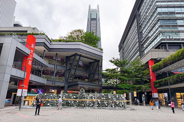 またもや気を取り直しまして……向かったのは「新光三越A11」前！ここは毎年大きなクリスマスツリーが作られているんですよね。