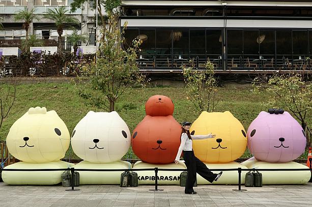 【台湾イベント】即日～12/28 碧潭に12m大の「カピバラさん」となかまたちが登場♡ カピバラさん 台湾旅行 台湾観光 碧潭 新店 ポップアップストアインスタレーション