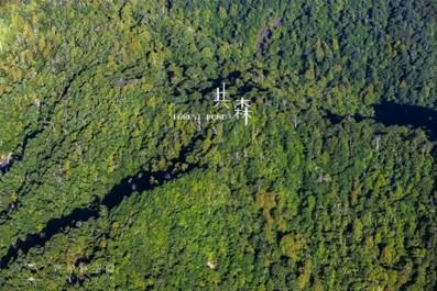 【台湾観光ツアー】淡水＆八里を巡るペア日帰り旅！アフタヌーンティーも楽しめるとっておきプランを紹介！ 淡水 八里 滋爆米花觀光工廠 ポップスマイルポップコーン工場 齊柏林空間 齊柏林 福容大飯店 フーロンホテル 將捷金鬱金香酒店 将捷金鬱金香酒店 登峰魚酥山焙