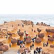【台湾旅行】ジオパーク「野柳地質公園」はお得な「野柳クラシック山海遊セット券(野柳經典山海遊)」で行こう！ ジオパーク 野柳地質公園 女王頭 クイーンヘッド 野柳クラシック山海遊セット券 野柳經典山海遊 バス旅 台北から日帰り旅行 聯想國際行銷 台湾旅行 台北旅行 台湾北海岸 台北観光台湾観光