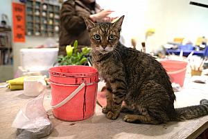 【瑞芳・九份観光】瑞芳駅と九份で手作り体験＆街歩きを満喫してきました！台鉄「瑞芳」駅の裏改札にも見どころがたくさんあるんです！