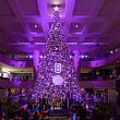 待ちに待ったリージェント台北のクリスマスツリー♡