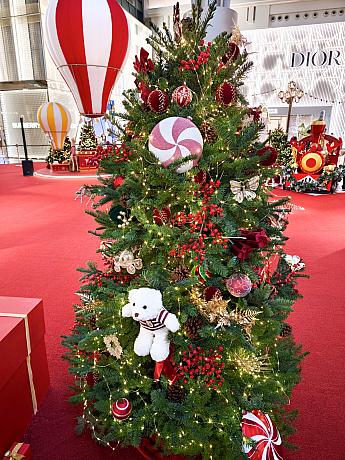 小さなかわいらしいツリーも点在し、クリスマス気分を盛り立ててくれます。大人も子供も楽しめる仕掛けがいっぱいのインスタレーションです。