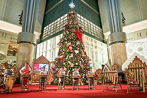 クリスマス音楽会を毎週末開催！