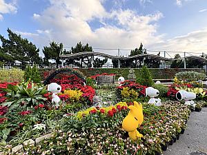 台北市のニュースリリースによると、公館の「臺北自來水園區」でもクリスマスイルミネーションが楽しめ、こちらのテーマもピーナッツ(スヌーピー)♡お時間ある方はこちらもチェックしてみてください！<br>画像提供：臺北自來水園區
