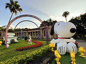台北市のニュースリリースによると、公館の「臺北自來水園區」でもクリスマスイルミネーションが楽しめ、こちらのテーマもピーナッツ(スヌーピー)♡お時間ある方はこちらもチェックしてみてください！<br>画像提供：臺北自來水園區