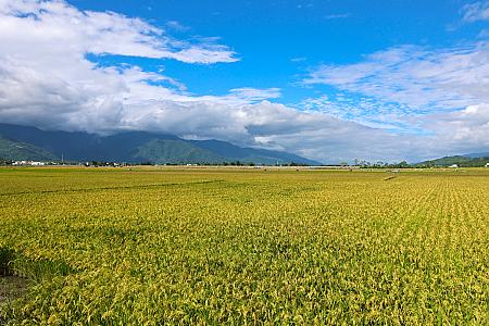 普段は観光客が押し寄せる池上の「天堂路」