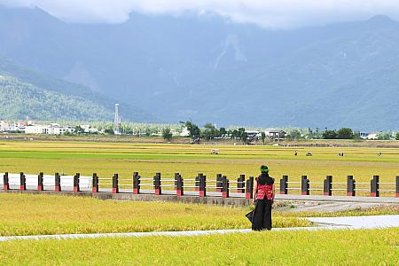 【台湾イベントレポート】秋の風物詩！原住民歌手「桑布伊」とパフォーミングアート集団「優人神鼓」がタッグを組んだ「2025池上秋收稻穗藝術節」に大感動！ 池上秋收稻穗藝術節 池上秋收稲穂芸術節 優人神鼓桑布伊