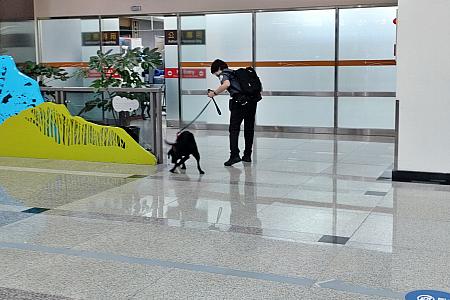 PS：別の日、同じく台北松山空港の到着ロビーで、お仕事ワンちゃん(檢疫犬？)を見かけました。台湾では今秋にアフリカ豚コレラが発生し、より一層、肉製品・農産物の持ち込み禁止対策を強化しています。訪台の際はご注意くださいね。