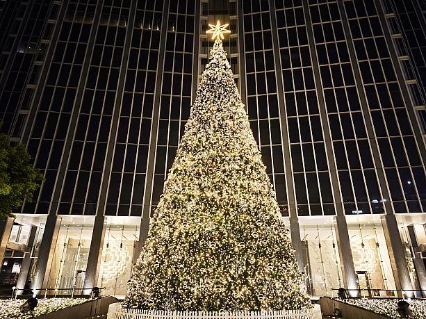 地味に台北ナビ的ナンバー1クリスマスツリー♡