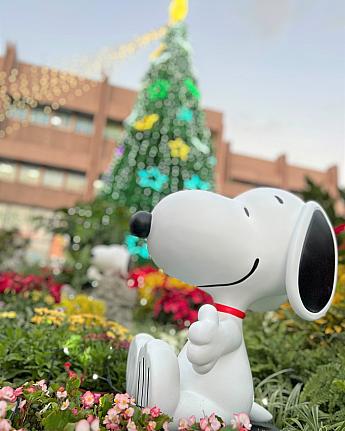 有料だけど園内にはクリスマスを楽しむスヌーピーがいっぱい！<br>画像提供：台北自來水園區