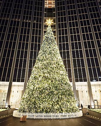 2025年｜台湾のクリスマス完全ガイド｜イルミネーション・イベント・グルメまとめ