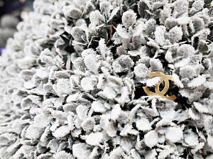 2025年｜台湾のクリスマス完全ガイド｜イルミネーション・イベント・グルメまとめ