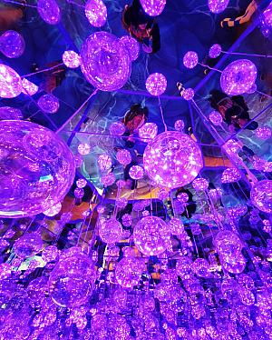 無料で楽しめるお楽しみやどこを撮影しても映えるインスタレーションで毎年大人気！