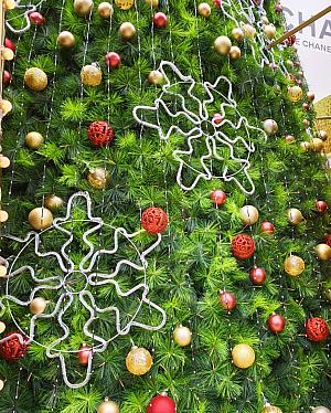 近くで見たら雪発見！