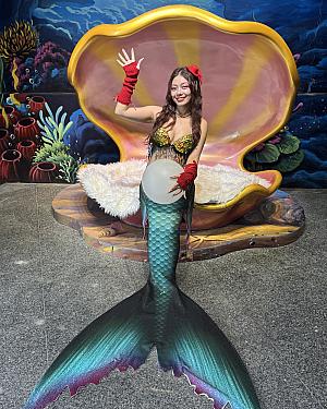 【遠雄海洋公園】12月末までクリスマス気分が楽しめます♡<br>画像提供：遠雄海洋公園