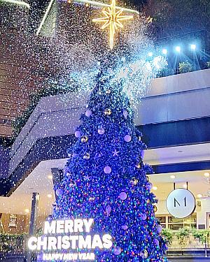 ライティングショー中は色が光の色が変わって、雪まで降るんですよ！！