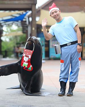 【遠雄海洋公園】12月末までクリスマス気分が楽しめます♡<br>画像提供：遠雄海洋公園