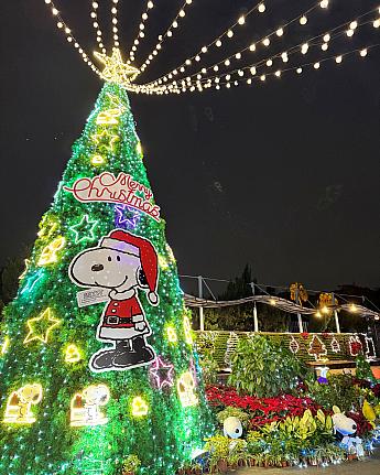 有料だけど園内にはクリスマスを楽しむスヌーピーがいっぱい！<br>画像提供：台北自來水園區