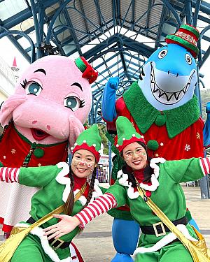 【遠雄海洋公園】12月末までクリスマス気分が楽しめます♡<br>画像提供：遠雄海洋公園