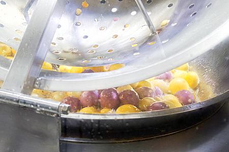 人気なようで、揚げあがり近くになったらいつも行列になっていたから、揚げたてを食べられると思ったのがセレクトの理由！