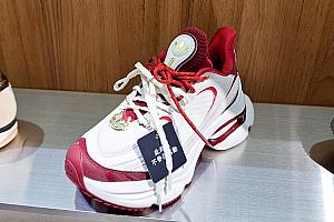 あぁ、どれもかわいい……どうしよう！