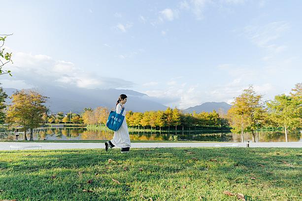 理想PAARK水岸生活園区に足を踏み入れると、湖と水辺の自然が織りなす雰囲気を満喫できます！