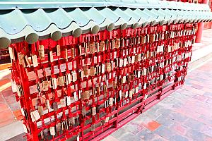 台湾の歴史と文化を感じながら、のんびりと歩いてみましょう。台南らしいゆったりとした時間の流れを感じることができるはず！