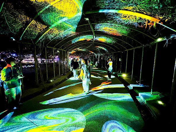 広い公園内に、いくつかの幻想的なスポットが散りばめられていいます。チームラボ風(？)