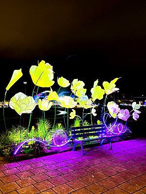 【台北イベント】話題の、高さ10m「巨大トランスフォーマー」に会いに、花博公園で開催中の2026年台北ランタンフェスティバルへ行ってきました！ 台北燈節 台北ランタンフェスティバル 台北ランタンフェスティバル2026 台北燈節2026 圓山花博公園 花博公園 圓山 西門巨大トランスフォーマー