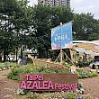 【台北観光】大安森林公園で春の花さんぽ！繡球花(紫陽花/アジサイ)＆杜鵑花(ツツジ)を楽しめる春限定イベントに行ってきました 繡球花 紫陽花 杜鵑花 ツツジ大安森林公園