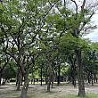 一体アジサイはどこにあるんだろうと探しつつ道を進んでいき、リスにも出会わないかなと探していたのですが、ナビが出会ったのは気持ちよさそうに寝ているおじさん(笑)