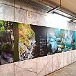 【台湾の駅】花蓮・タロコ渓谷(太魯閣國家公園)の玄関口、台鉄「新城(太魯閣)」駅へ行ってみた！ 台湾の駅 台鉄新城 新城太魯閣駅 新城太魯閣站 太魯閣國家公園 太魯閣渓谷 タロコ渓谷最寄り駅 花蓮旅行 花蓮観光 太魯閣観光 台湾旅行台湾観光