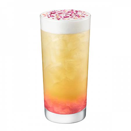 蘋果山茶花風味青茶(Fuji Apple Camellia Garden Tea)Tall$145/Grande$160/Venti$175