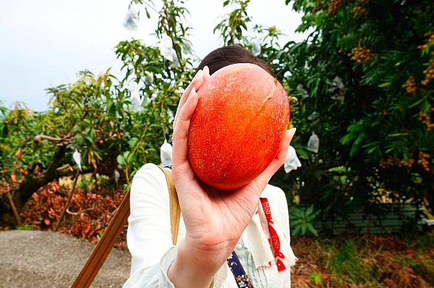 やさしく手に取って触感を確かめて