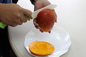 花咲きマンゴー