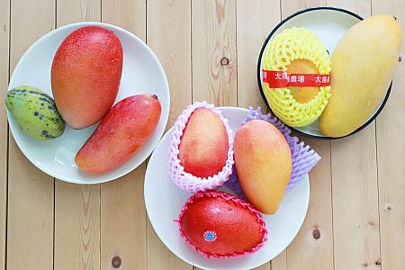 【2026年版】台湾マンゴーの旬・値段・選び方ガイド｜愛文マンゴーの食べごろの見極め方も 台湾マンゴー 台湾マンゴー直送 台湾マンゴーお取り寄せ 愛文マンゴー 完熟マンゴー 台湾フルーツ 台湾高級フルーツ 台湾産マンゴー 台湾アップルマンゴー マンゴー旬 台湾旅行 台湾観光 台北旅行台北観光