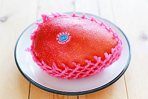 【2026年版】台湾マンゴーの旬・値段・選び方ガイド｜愛文マンゴーの食べごろの見極め方も 台湾マンゴー 台湾マンゴー直送 台湾マンゴーお取り寄せ 愛文マンゴー 完熟マンゴー 台湾フルーツ 台湾高級フルーツ 台湾産マンゴー 台湾アップルマンゴー マンゴー旬 台湾旅行 台湾観光 台北旅行台北観光